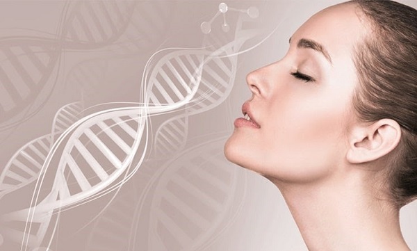 Collagen có thực sự giúp đẹp da không?