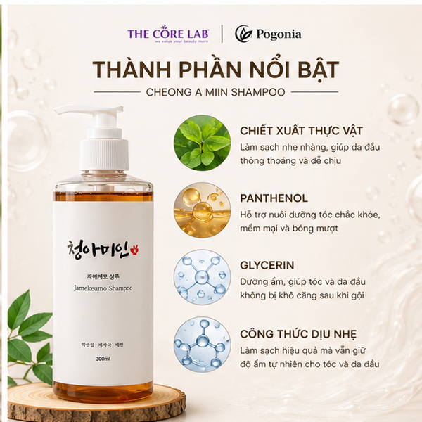 02_Thanh_phan_noi_bat